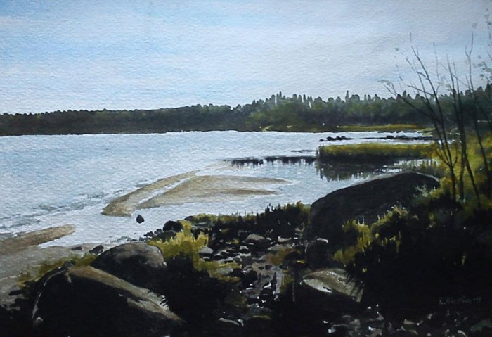 Badviken2