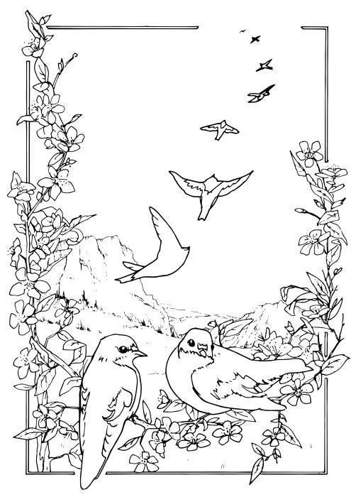 Coloring picture