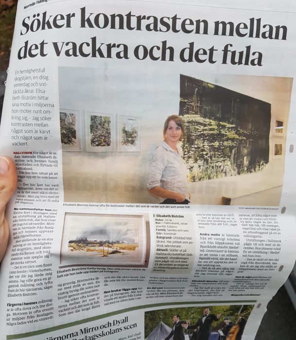 Reportage i Norrtelje tidning om Elisabeth Biströms utställning på Hallstaviks konsthall