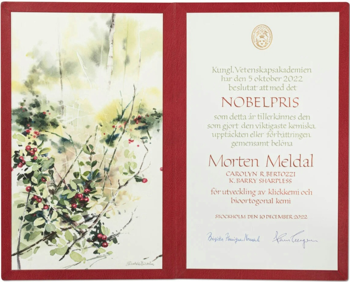 Nobelpris i kemi 2022, Morten Meldal