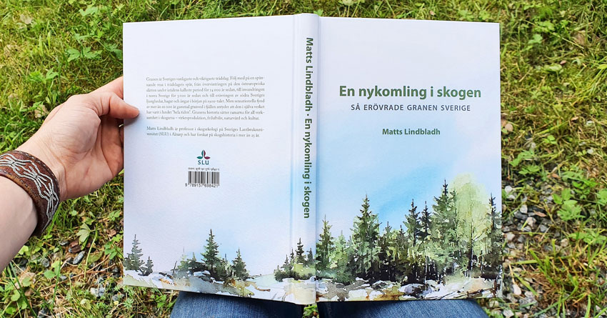 En nykomling i skogen, av Matts Lindbladh. Omslag illustrerat av Elisabeth Biström