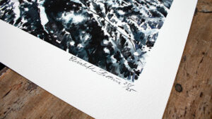 Närbild av konsttrycket "Inbäddad" av Elisabeth Biström