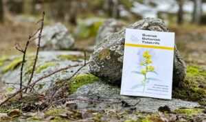 Svensk Botanisk Tidskrift, omslagsillustration Elisabeth Biström