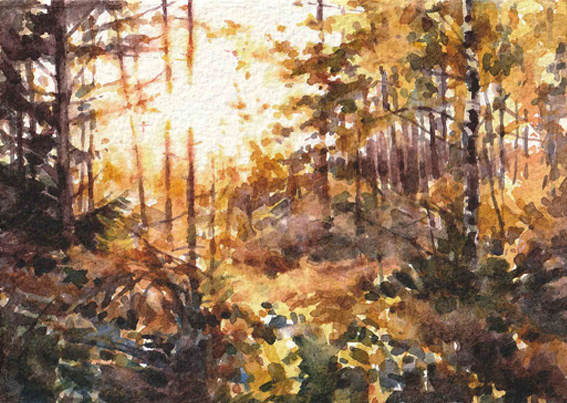 Akvarell Elisabeth Biström