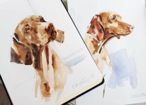 Akvarell Elisabeth Biström